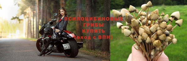 mdpv Белоозёрский