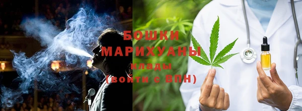 сатива Балахна