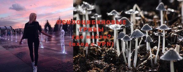 таблы Белокуриха