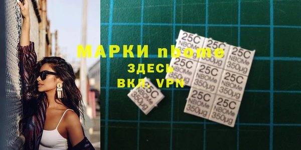 сатива Балахна