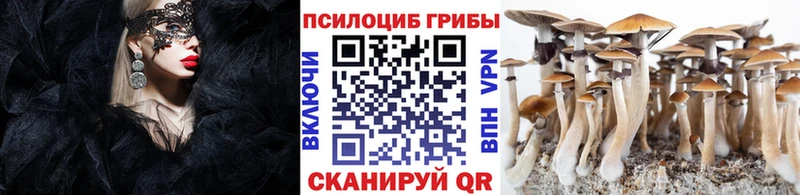 Галлюциногенные грибы Magic Shrooms Кореновск